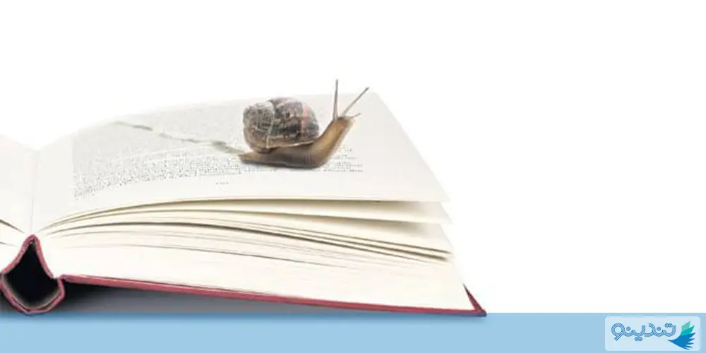 حلزون روی کتاب به‌عنوان نماد کندخوانی